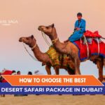 Desert Safari Package