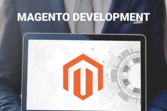 Hire Magento Developers