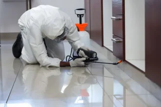 Pest Control Lahore and Guide to Pest Control Near Me