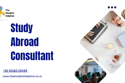 study abroad consultant