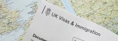 domestic violence visa processing time