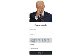 The Smart Way to Leverage Bidencash for Credit Improvement