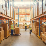 elite sourcing and logistics